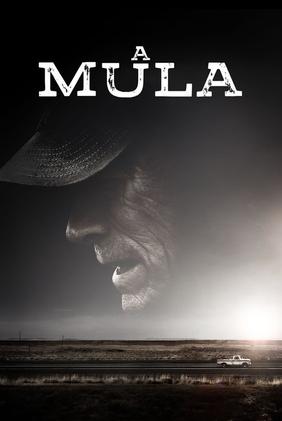 A Mula